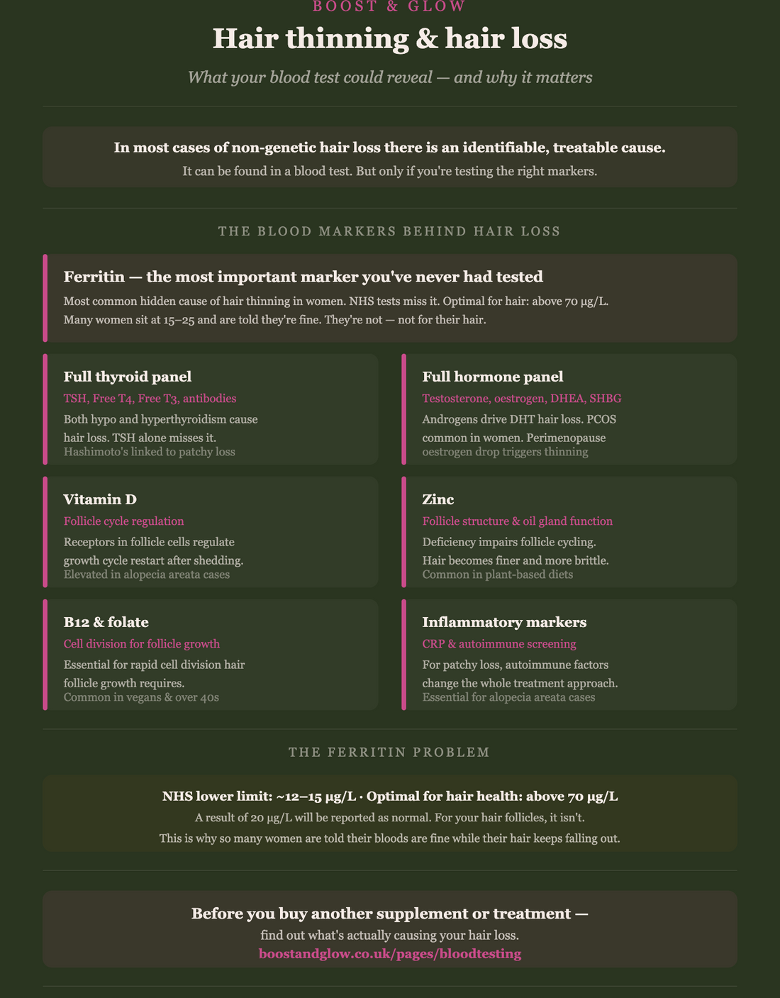 Hair thinning and hair loss blood tests — ferritin, thyroid, hormones, vitamin D, zinc, B12 and inflammatory markers explained — infographic by Boost & Glow clinician Lucy