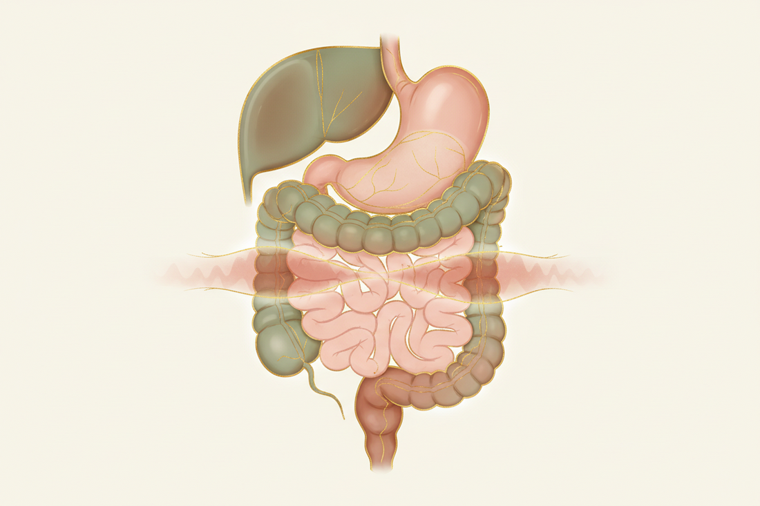 BLOATING: WHY IT HAPPENS, WHAT TESTS REVEAL, AND HOW TO ACTUALLY FIX IT