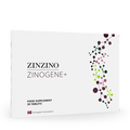 ZinoGene+